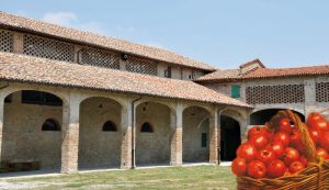 Parma - Musei del cibo: Museo del Pomodoro